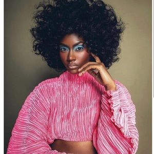 Cult Gaia Flamingo Top